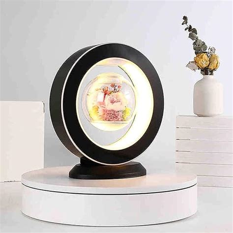 Buy Ostin Artificial Flowers Lamp,Magnetic Levitating Air Preserved ...