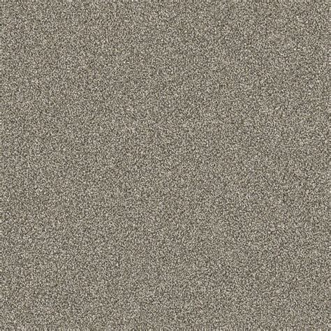 STAINMASTER (Sample) PetProtect Pedigree Behavior Plush Carpet at Lowes.com