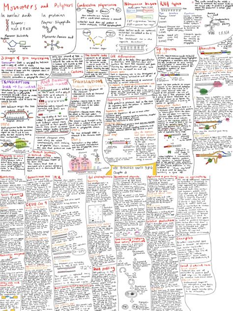 Image result for Bio Chapter 2