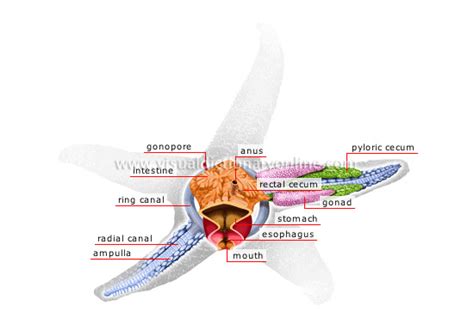 Image result for Computer Functions Key Icon