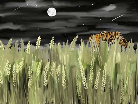 Eyes On The Skies: Pench Tiger Reserve Becomes India’s First Dark Sky ...