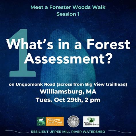 Whats in a Forest Assessment? Meet a Forester Woods Walk, Unquomonk Rd ...