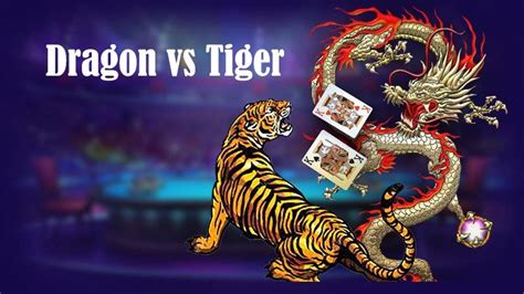 dragon tiger rummy apk v2.4.10