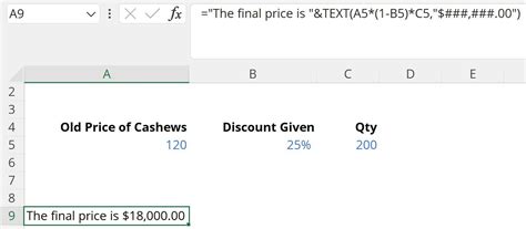 Image result for How to Use Text Function Excel