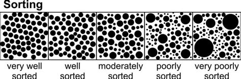 Sorting Classification Different 的图像结果