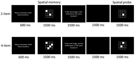 The Role of Physical Fitness in Cognitive-Related Biomarkers in Persons ...