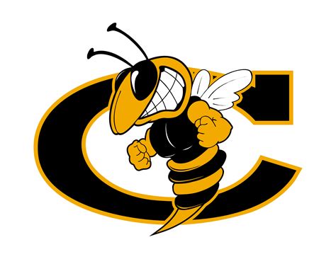 Cook County Hornets vs Appling County Pirates - Baseball - Mar 14, 2025