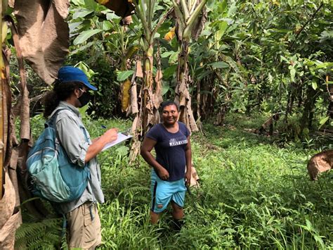 Agroforestry Systems 的图像结果