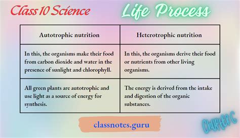 Class 10 Science Chapter 6 All Processes 的图像结果