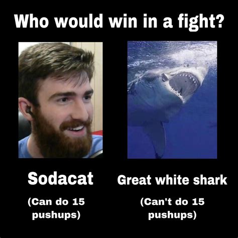 Who won? Who’s next? You decide! | Scrolller