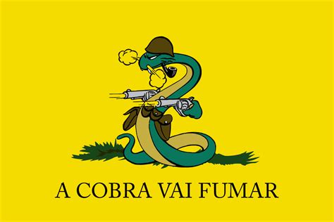 The Brazilian "Gadsden Flag" - The Smoking Snake flag | A COBRA VAI ...