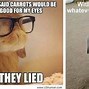 Image result for Bunny Joke Quotes