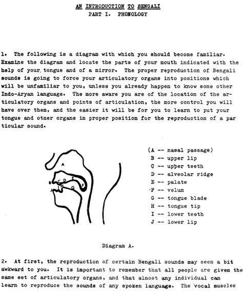 Bengali Language Learning Basic 的图像结果