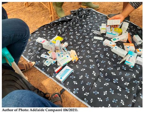 Exploring Antibiotic Use in the Community: A Household-Based Survey ...