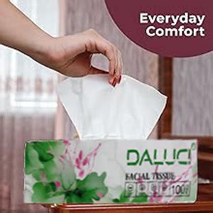 DALUCI 2 Ply Facial Tissue Box Car Tissue (5 Boxes (500 Pulls ...