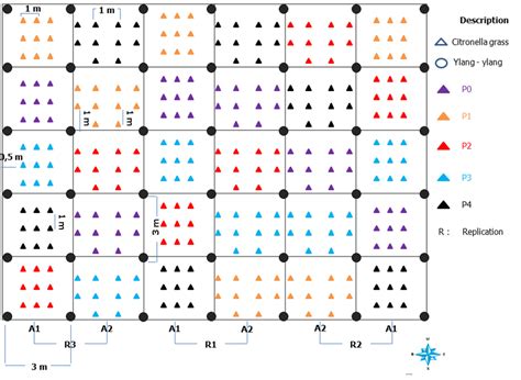 Image result for Completely Randomised Design Plot Layout