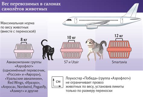 Требования к переноскам для собаки для перевозки в самолете: виды ...