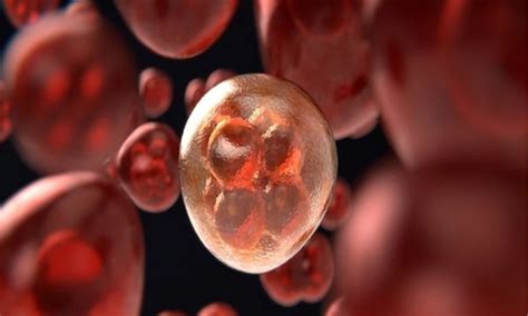 Oregon reports first human case of Bubonic plague in nearly a decade