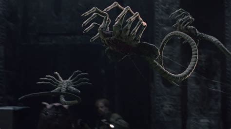 Image result for Alien Films in Order of Storyline