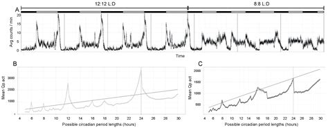 A Simulated Shift Work Schedule Does Not Increase DNA Double-Strand ...