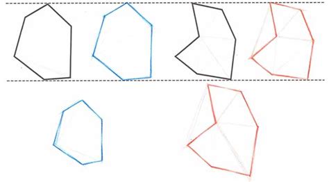 Image result for Polygon Drawing Tutorials