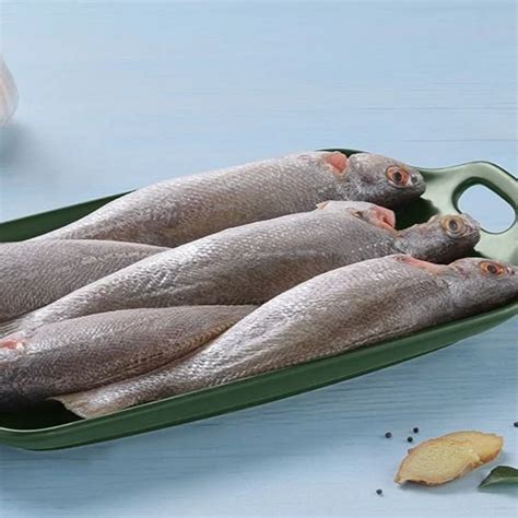 Fresh Goan Dodiyar/Croaker – Nuste.in