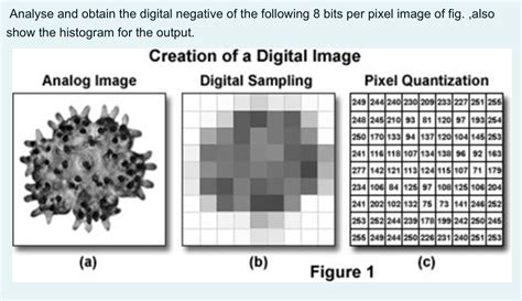 Digital Negative Tutorial 的图像结果