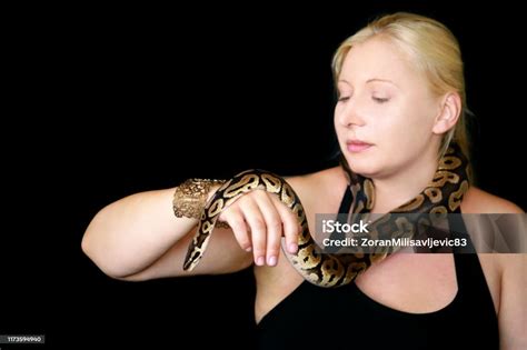 Python Snake Woman 的图像结果