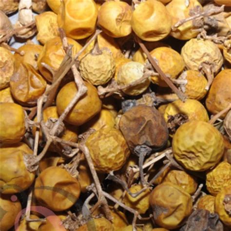 Herbal Powders – Natural Health & Beauty Solutions