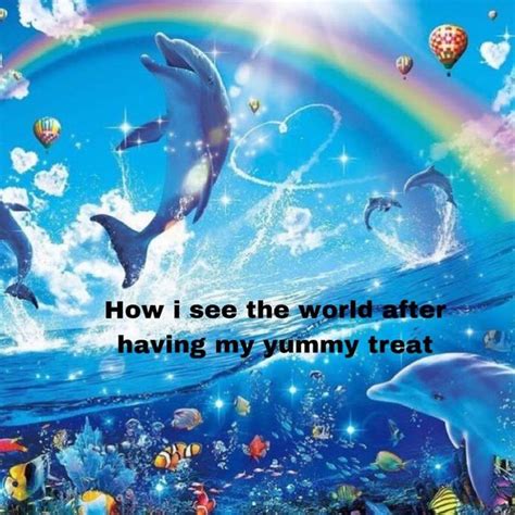 What Is The 'Rainbow Dolphin' Meme? Zara Larsson's 'Symphony Dolphin ...