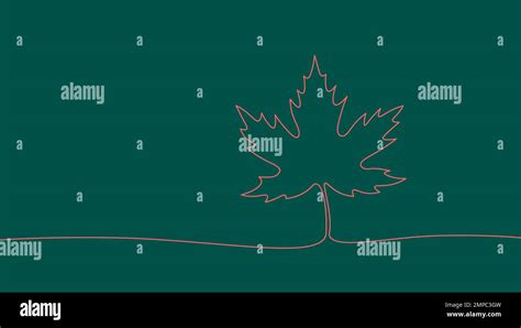 Image result for Single Line Maple Tree Drawing