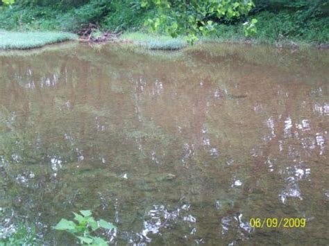 Perryville Tourism (2024): All You Need to Know Before You Go