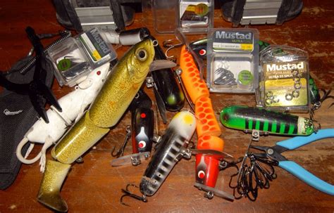 Image result for Catching Murray Cod On Lures Land-Based