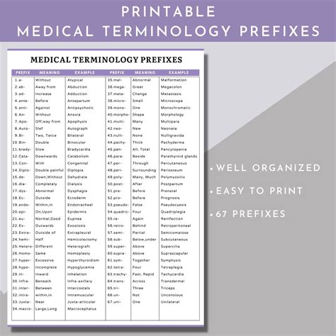 Medical Terminology Flashcards,medical Terminology Prefixes and ...