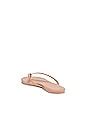 TKEES Vegan Matte Lily Flip Flop in No. 6 | REVOLVE