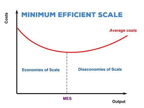 Minimum Efficient Scale