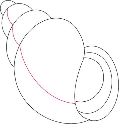 Image result for Count Shell Drawing