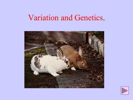 Image result for Variation Natural Selection