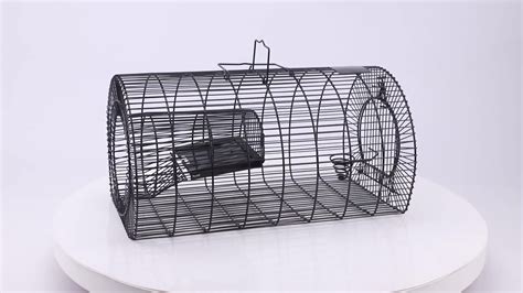 Rat Trap Cage