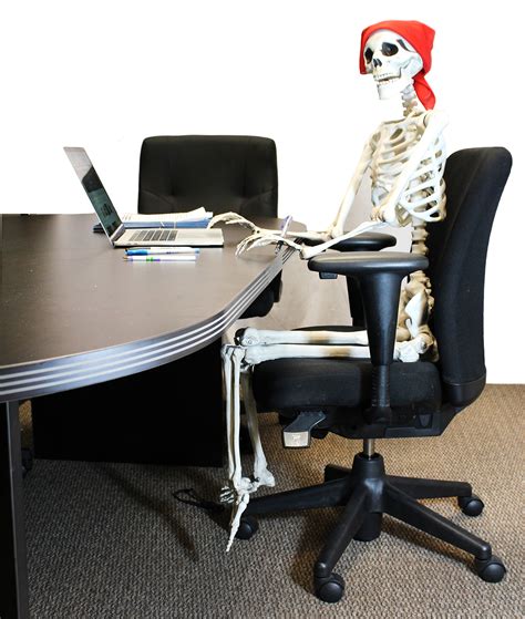5 ft Pose-N-Stay Life Size Skeleton Full Body Realistic Human Bones ...