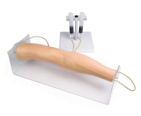 Image result for Injection Training Arm Model