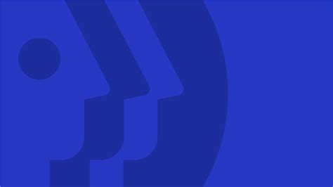 MathWorks PBS 的图像结果