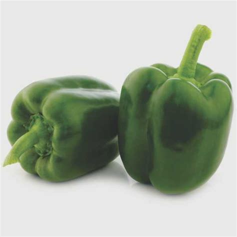ARISTOTLE X3R Pepper SEMINIS