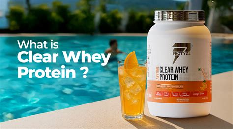 Confused Between Whey Protein and Whey Isolate? [2025 Guide] | Whey ...