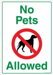 Safety Sign Store No Pets Allowed Emergency Sign Price in India - Buy ...