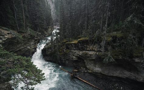 Data Engineering Master SQLCourse 的图像结果