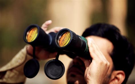 Get Some Calm, Watch Some Birds, Sit By The Peaceful Carambolim Lake in ...