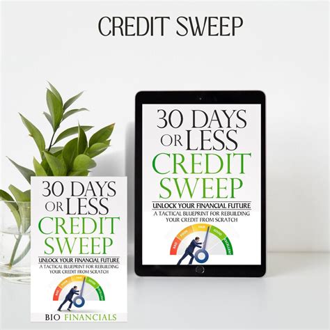 Image result for Credit Sweep Program