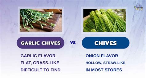 Garlic Chives vs. Chives: What is the Difference?