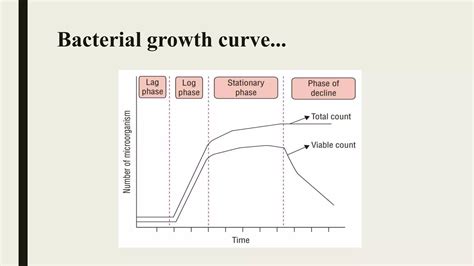 Bacterial growth curve | PPTX
